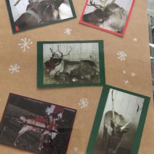 Reindeer Trading Cards Classic Claus
