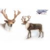 Santa's Reindeer Small