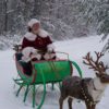 Santa's Reindeer Small - Image 2