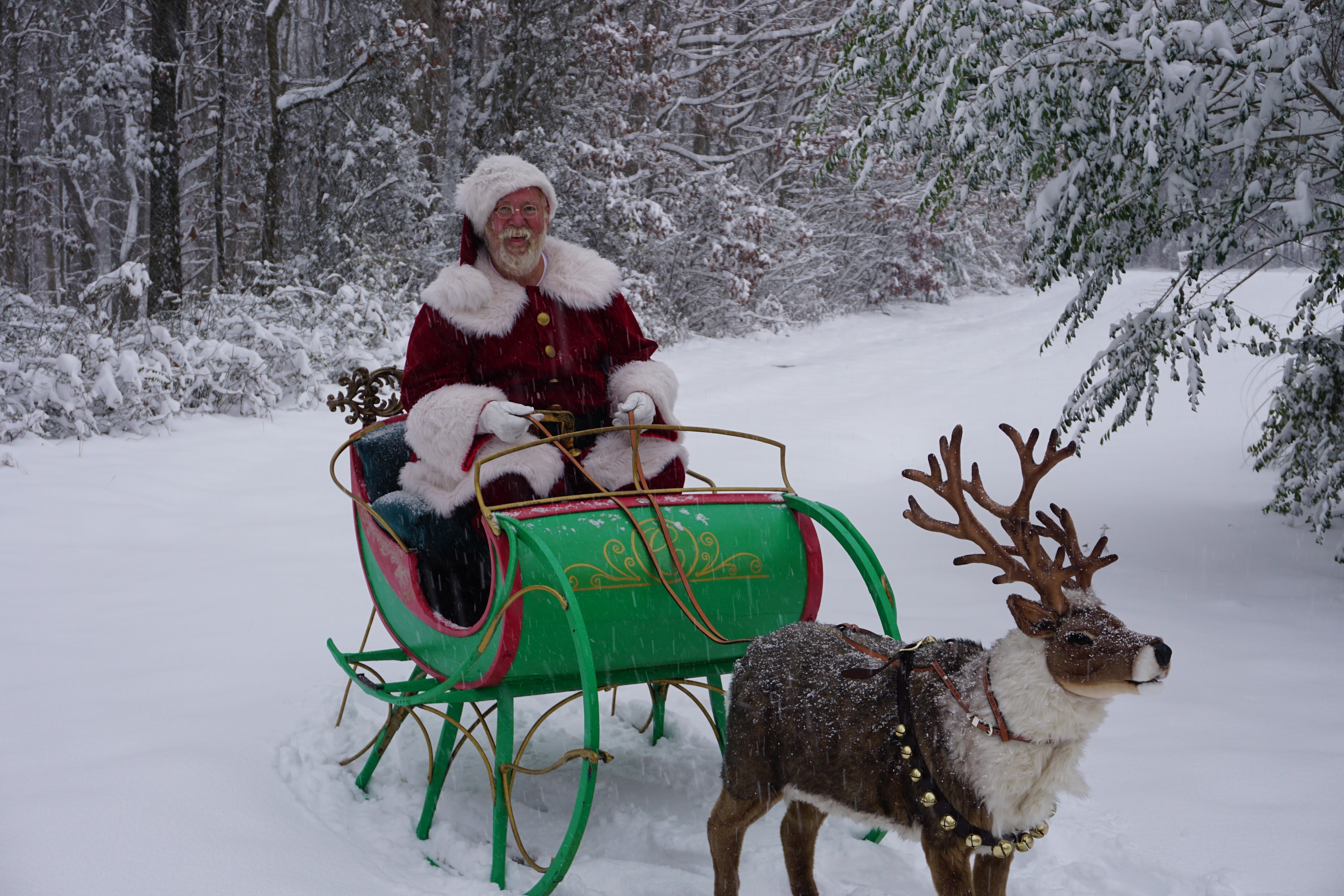 santa-s-reindeer-small-shop-classic-claus